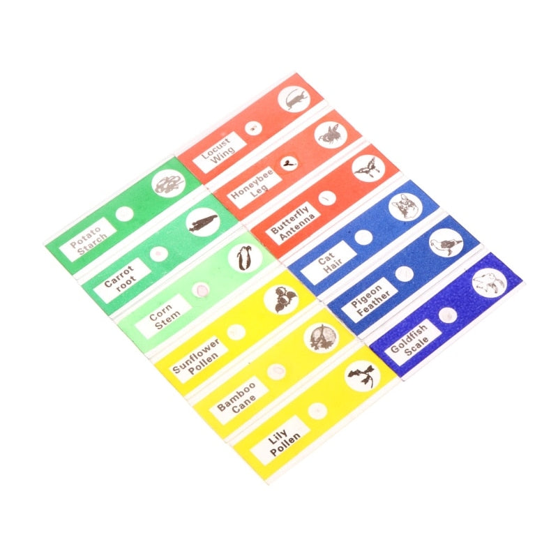 Prepared Microscope Slides Set - Set of 12 Pcs