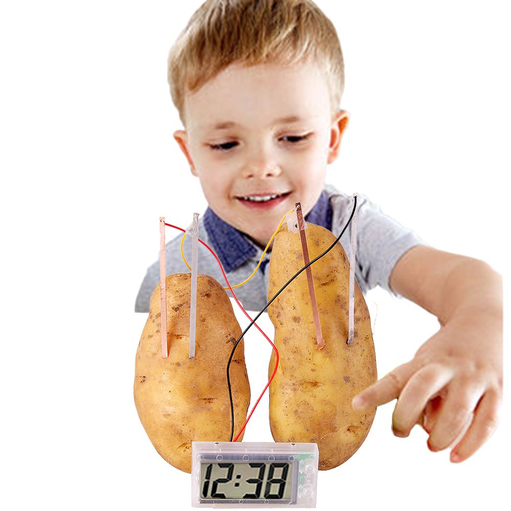 Potato Clock, Dry Battery Educational Science Toys for Children