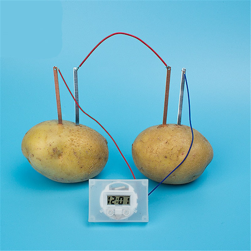 Potato Clock, Dry Battery Educational Science Toys for Children