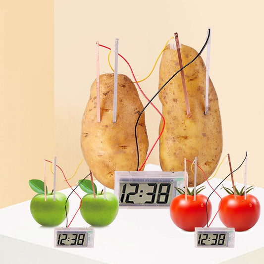 Potato Clock, Dry Battery Educational Science Toys for Children